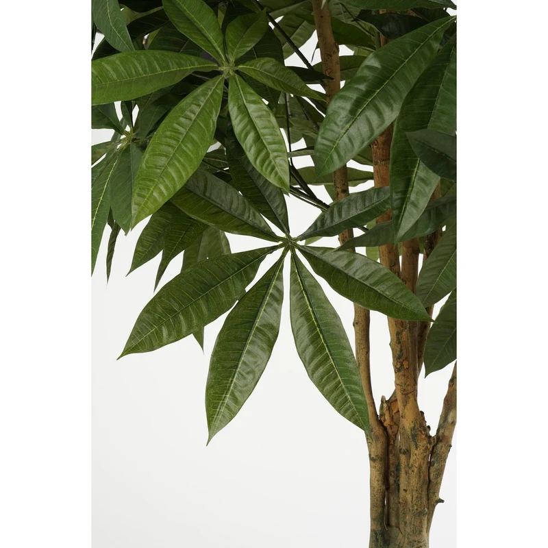 Künstliche Pachira (150 cm)