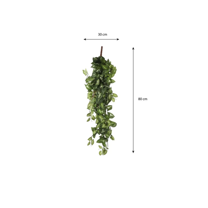 Künstliche Fittonia