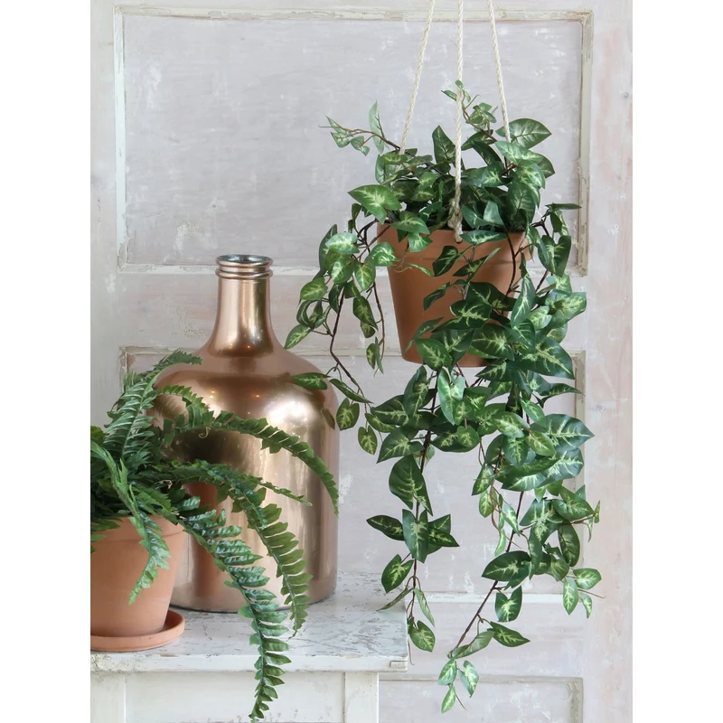 Künstliche Fittonia
