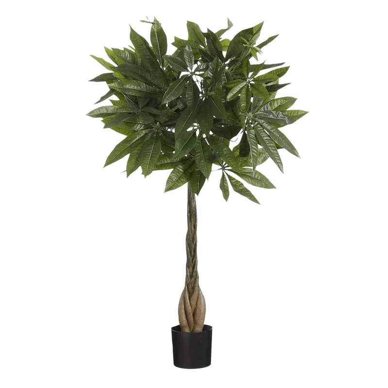 Künstliche Pachira (80 cm)
