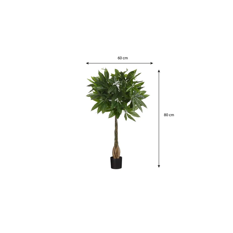 Künstliche Pachira (80 cm)