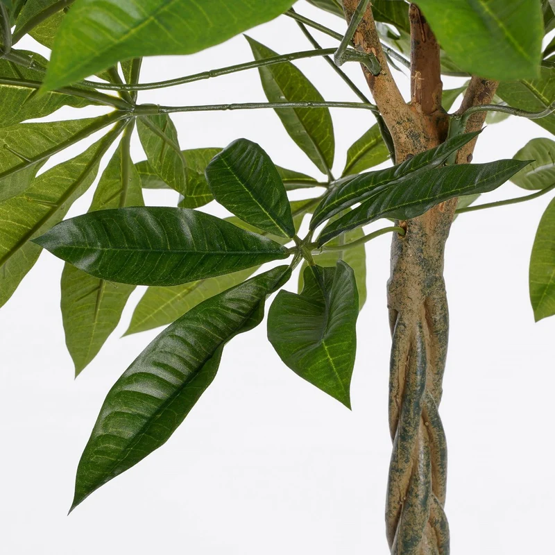 Künstliche Pachira (80 cm)