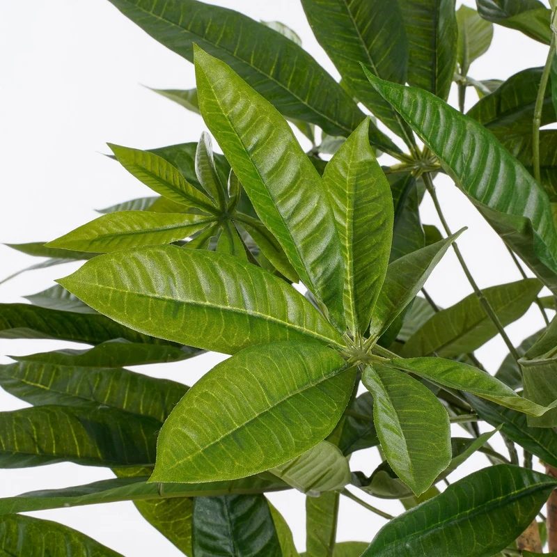 Künstliche Pachira (80 cm)