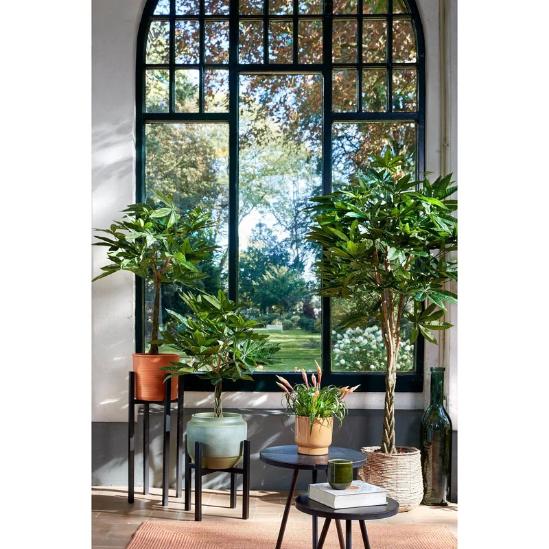 Künstliche Pachira (80 cm)