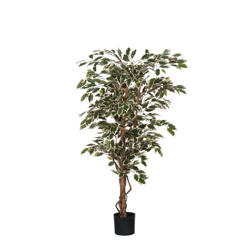 Künstlicher Ficus Benjamina (150 cm)