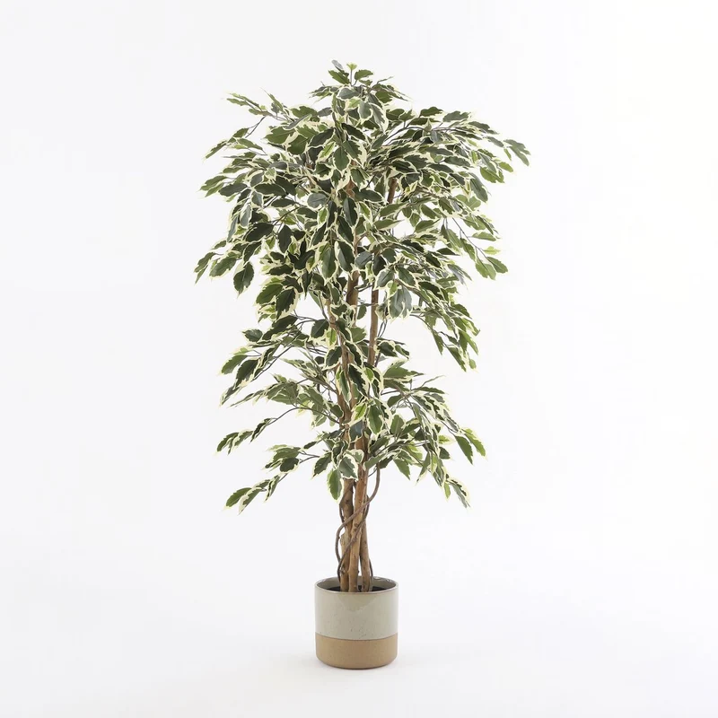 Künstlicher Ficus Benjamina (150 cm)