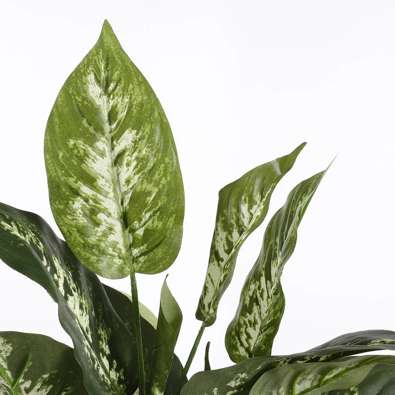 Künstliche Dieffenbachia (70 cm)