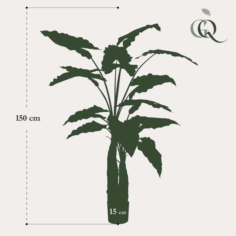 Künstliche Pflanze - Alocasia - Elefantenohr - 150 cm