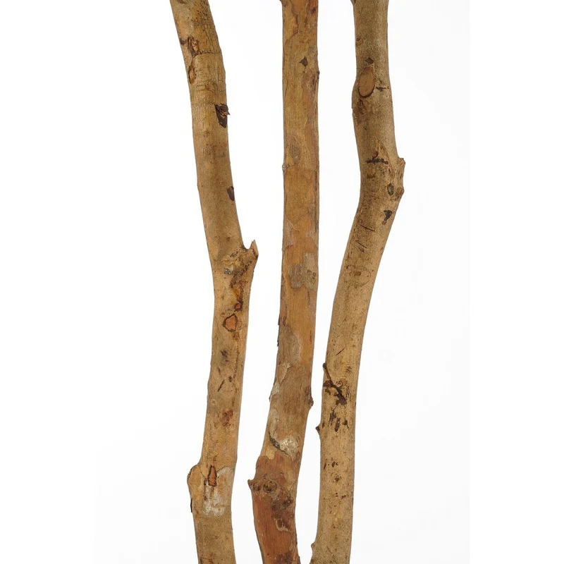 Künstliche Schefflera (150 cm)