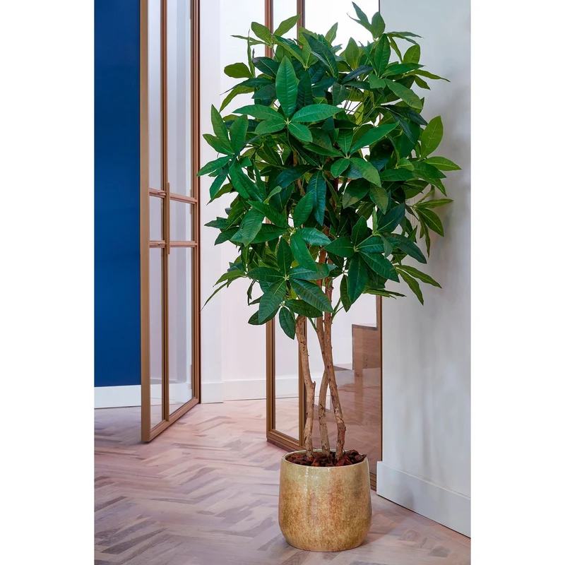 Künstliche Schefflera (150 cm)