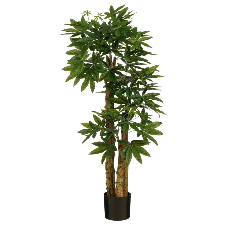 Künstliche Pachira (175 cm)