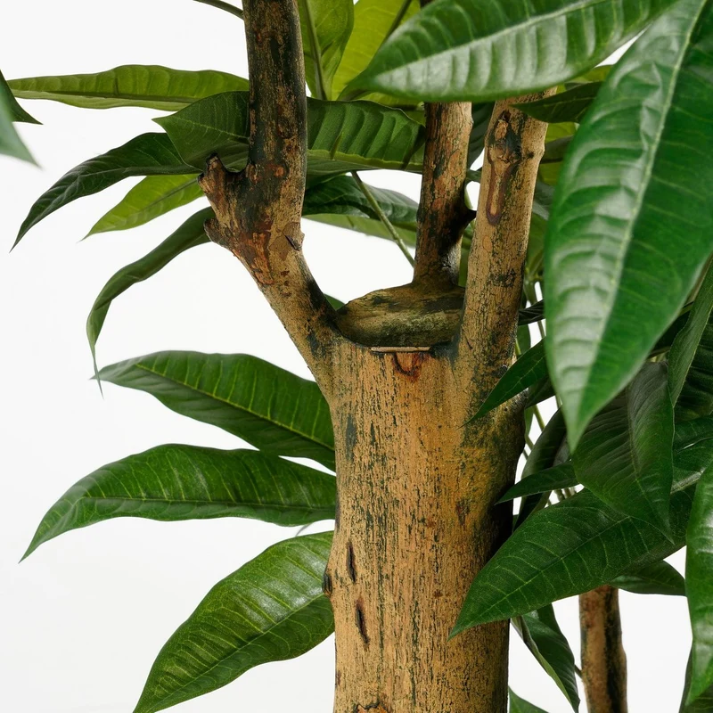 Künstliche Pachira (175 cm)