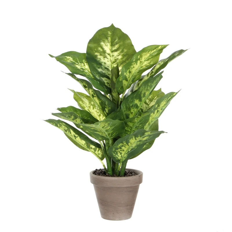Künstliche Dieffenbachia (40 cm)