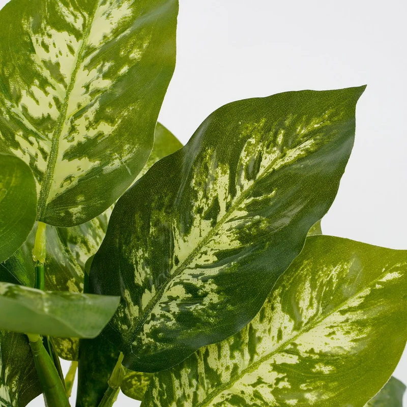 Künstliche Dieffenbachia (40 cm)