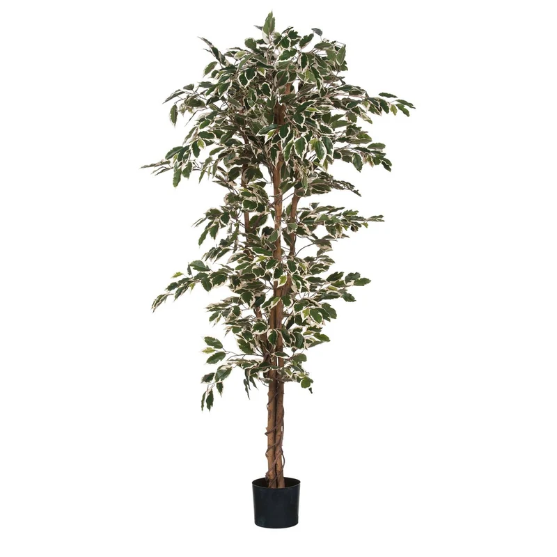 Künstlicher Ficus Benjamina (180 cm)