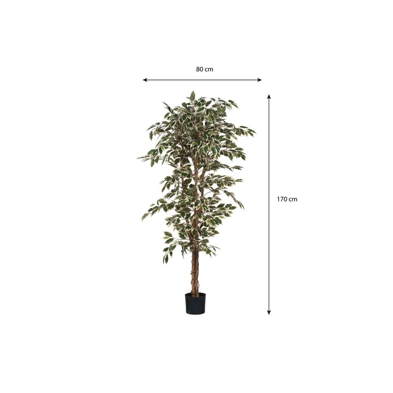 Künstlicher Ficus Benjamina (180 cm)