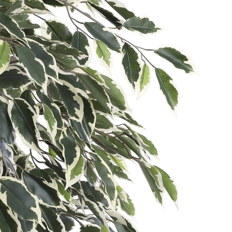 Künstlicher Ficus Benjamina (180 cm)