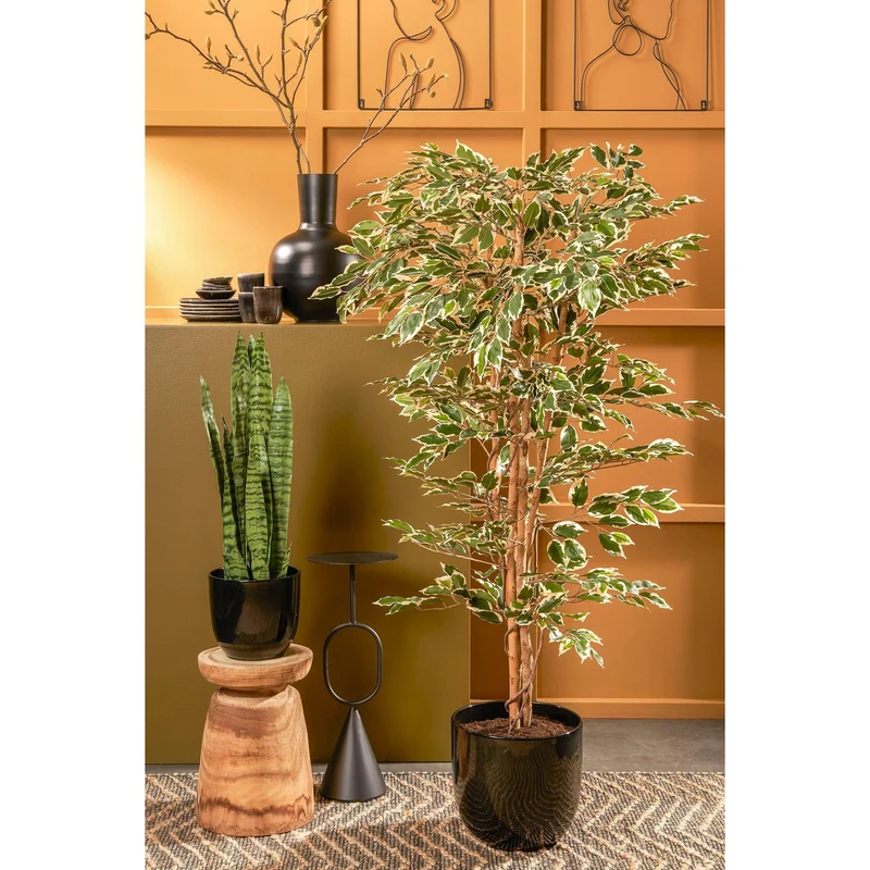 Künstlicher Ficus Benjamina (180 cm)