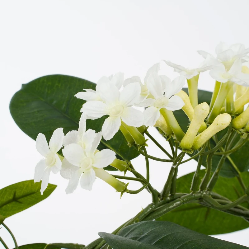 Künstlicher Stephanotis-Kranz