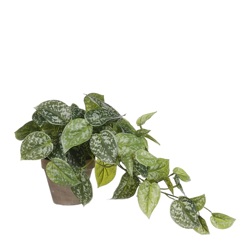 Künstlicher Scindapsus (44 cm)