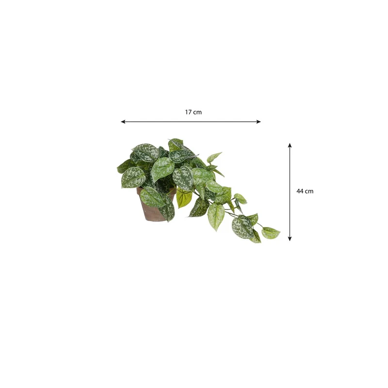 Künstlicher Scindapsus (44 cm)
