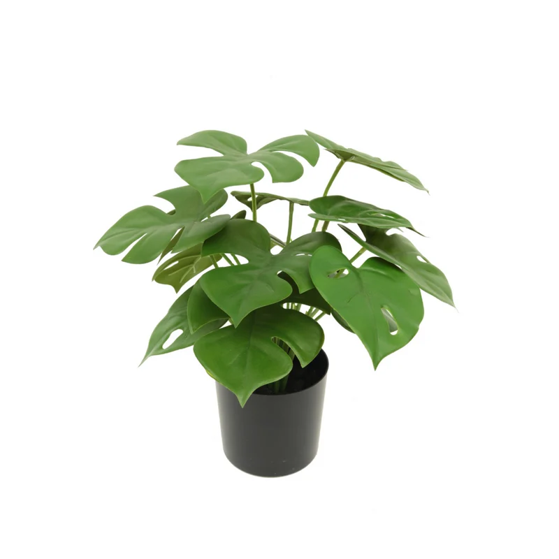 Monstera Madness - Künstliches Pflanzenpaket