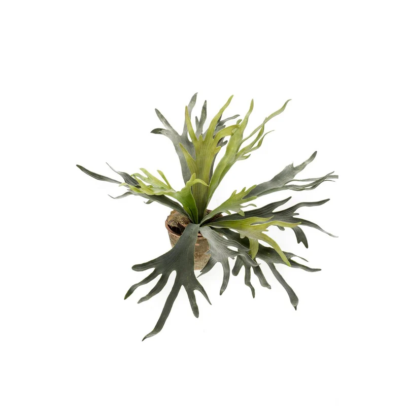 Künstliche Pflanze - Hirschhornfarn - Hirschhorn - 50 cm