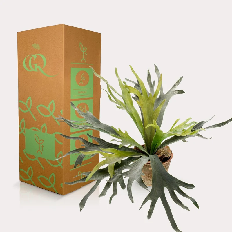 Künstliche Pflanze - Hirschhornfarn - Hirschhorn - 50 cm