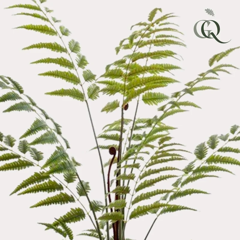 Künstliche Pflanze - Rumohra Adiantiformis - Lederfarn - 150 cm