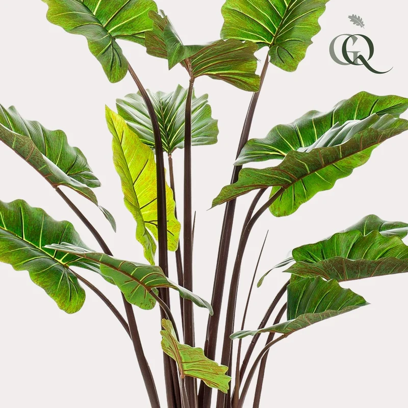 Kunstpflanze Alocasia „Pink China“ - Elefantenohr - 130 cm