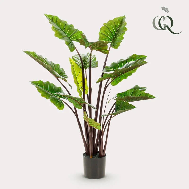 Kunstpflanze Alocasia „Pink China“ - Elefantenohr - 130 cm