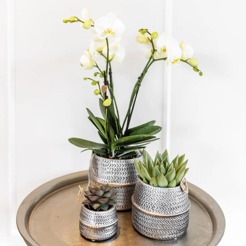 Groove-Blumentopf, Keramik in Gold, Ø 9 cm