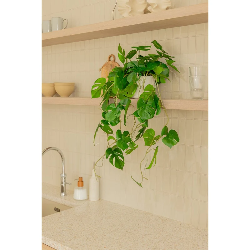 Künstliche Hängepflanze Monstera, 95 cm