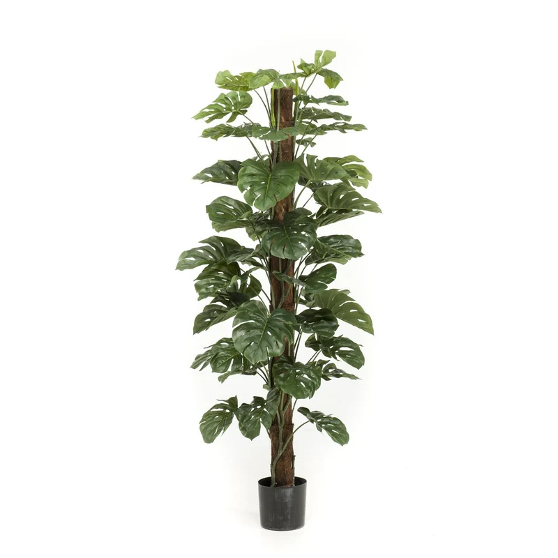 Monstera Deliciosa - Kunstpflanze - 180 cm