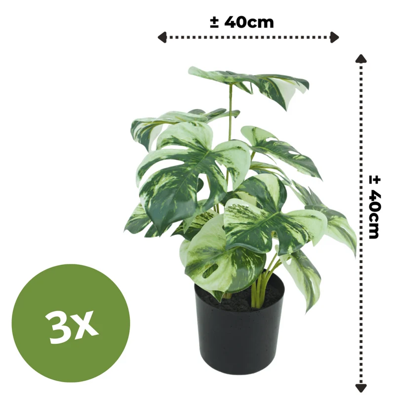 3 Stk. Monstera variegata Kunstpflanze 40cm