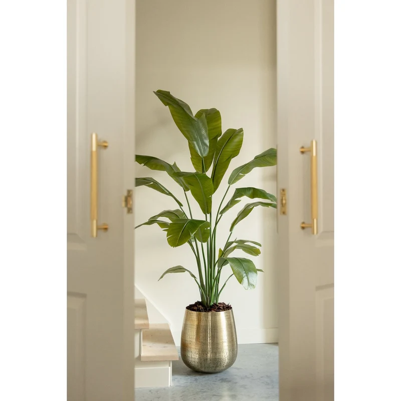 Künstliche Strelitzia 180 cm