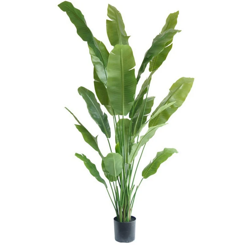 Künstliche Strelitzia 210 cm