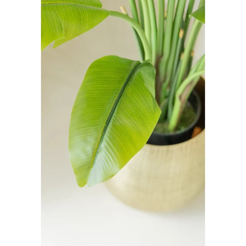 Künstliche Strelitzia 210 cm