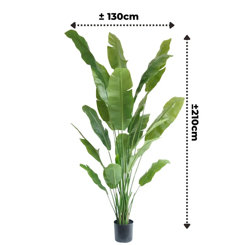 Künstliche Strelitzia 210 cm