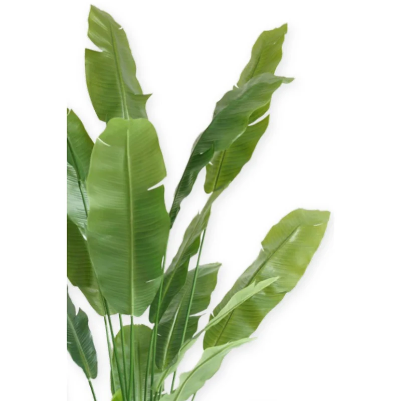 Künstliche Strelitzia 210 cm