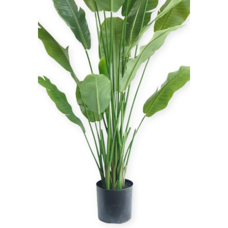Künstliche Strelitzia 210 cm