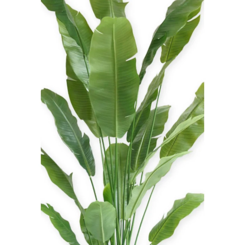 Künstliche Strelitzia 210 cm