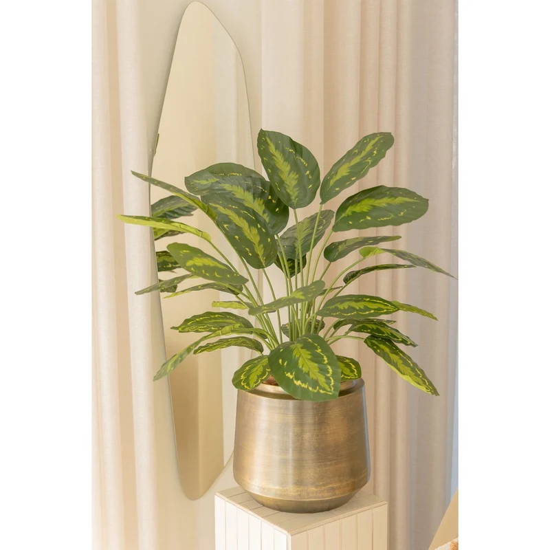Künstliche Calathea (70 cm)