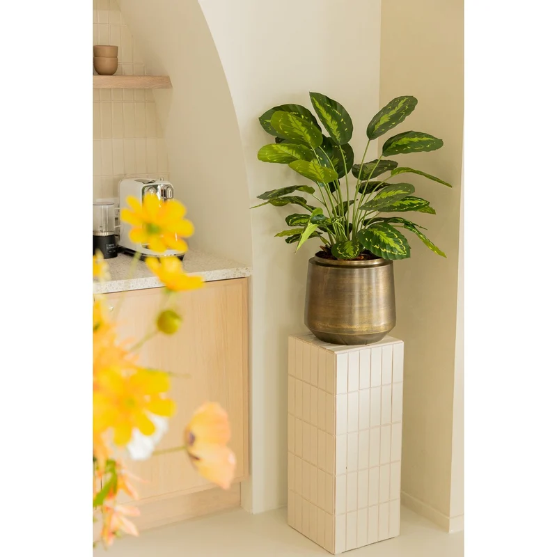 Künstliche Calathea (70 cm)