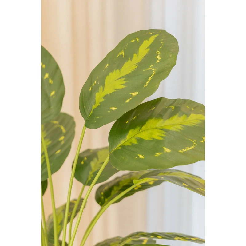 Künstliche Calathea (70 cm)