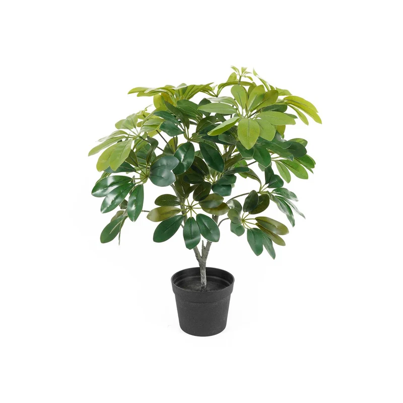 Künstliche Schefflera (48 cm)
