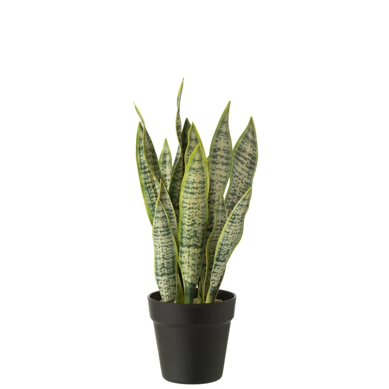 Künstliche Dracaena (47 cm)
