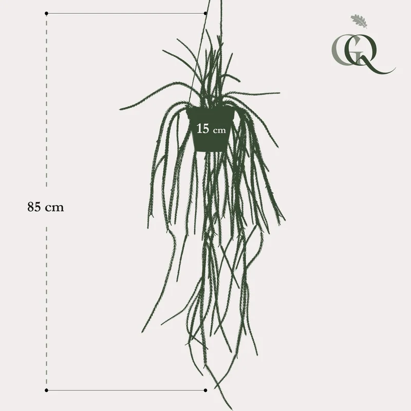 Künstliche Pflanze - Rhypsalis - Korallenkaktus - 85 cm
