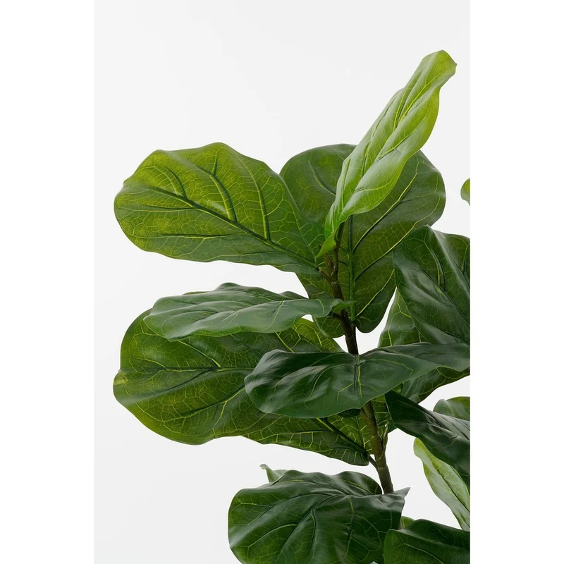 Künstliche Ficus lyrata