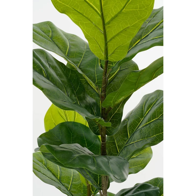 Künstliche Ficus lyrata